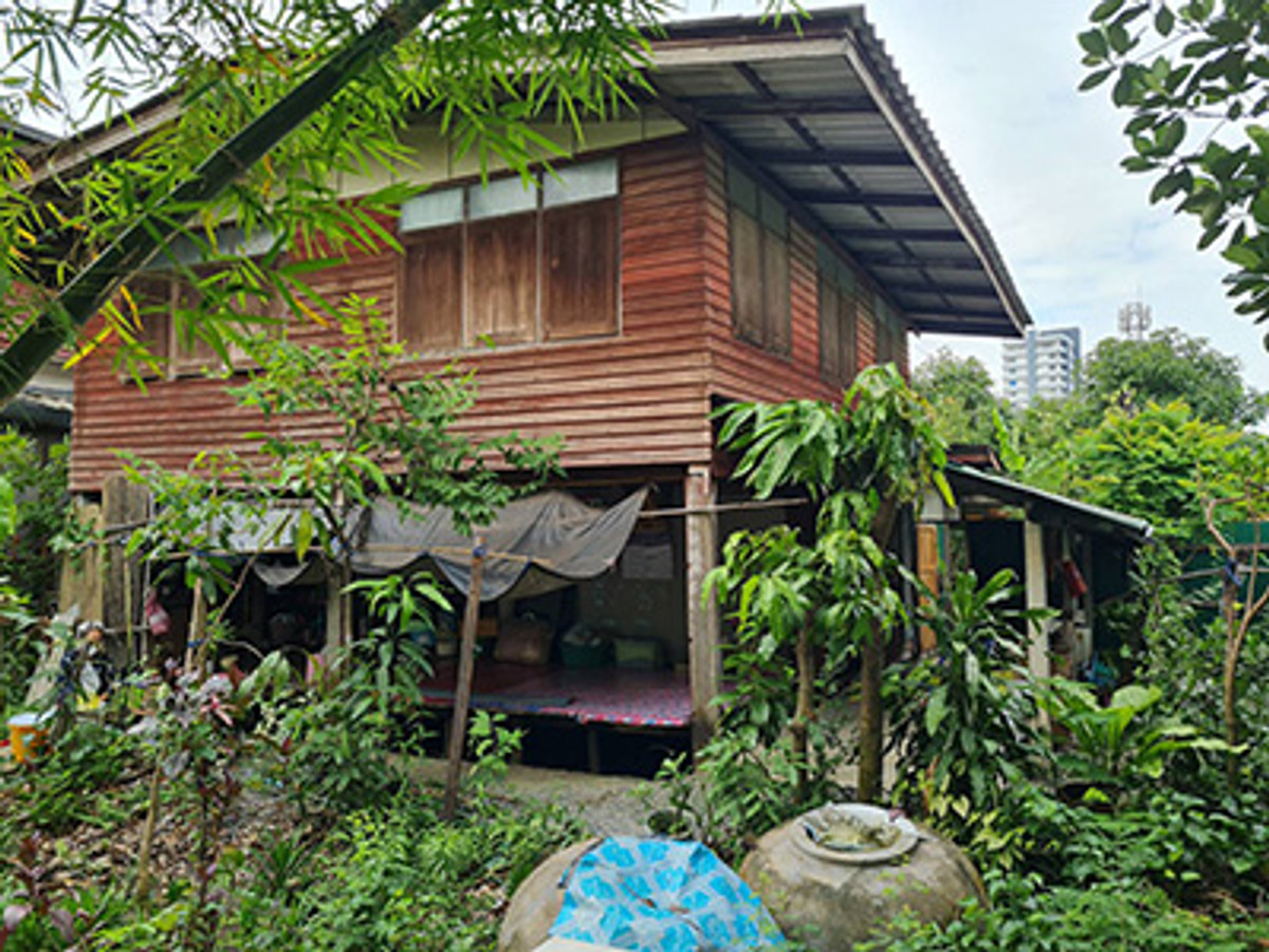 ขาย บ้านไม้ในสวน พื้นที่ 108108 ตรว. ราคา 2,000,000 บาท 2 ห้องนอน