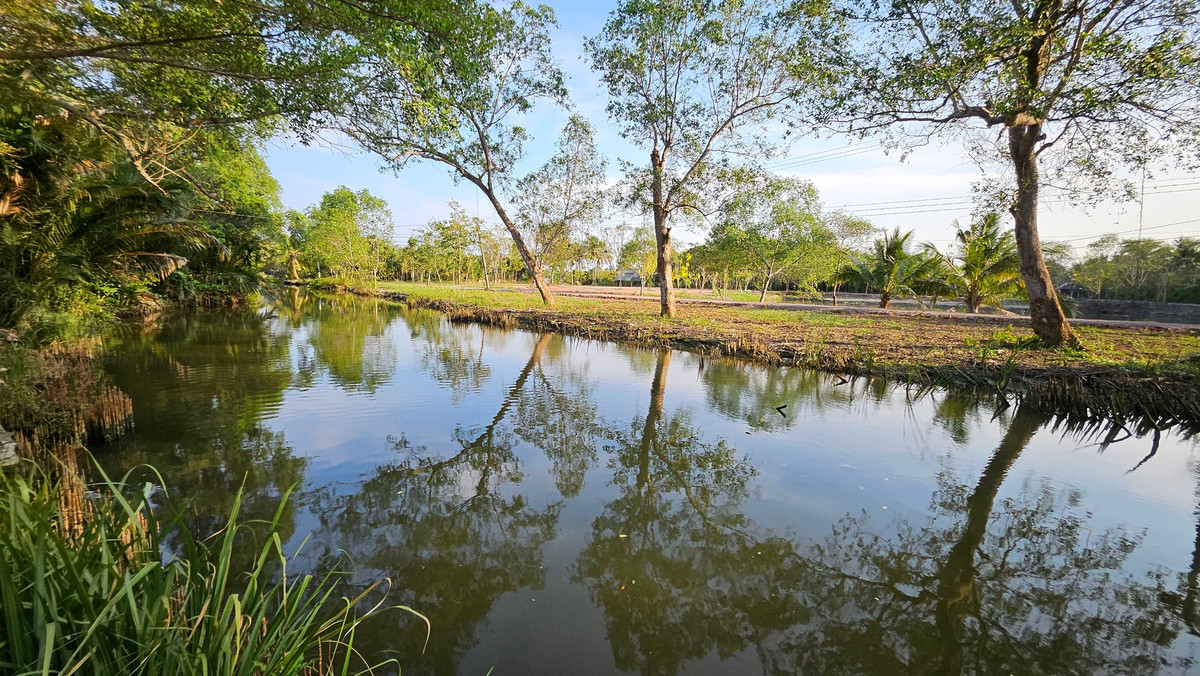 House with land for sale on a private island in Amphawa, over 6 rai