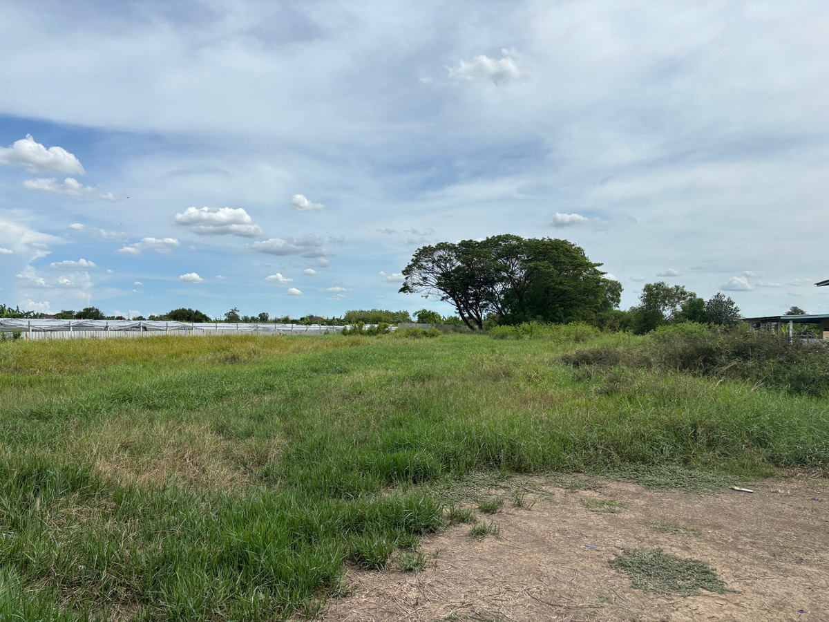 Land for Rent near Phrai Fa Intersection, Newly Cut Ratchaphruek Road 345 and 346