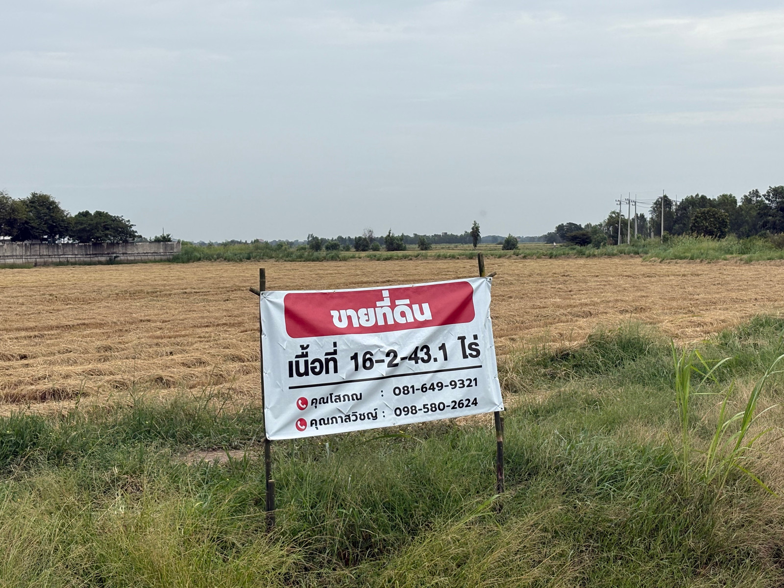 Land for Sale, 16-2-43.1 Rai, Bang Sai-Ayutthaya, near Road 3111, Location Suitable for Warehouse/Logistics