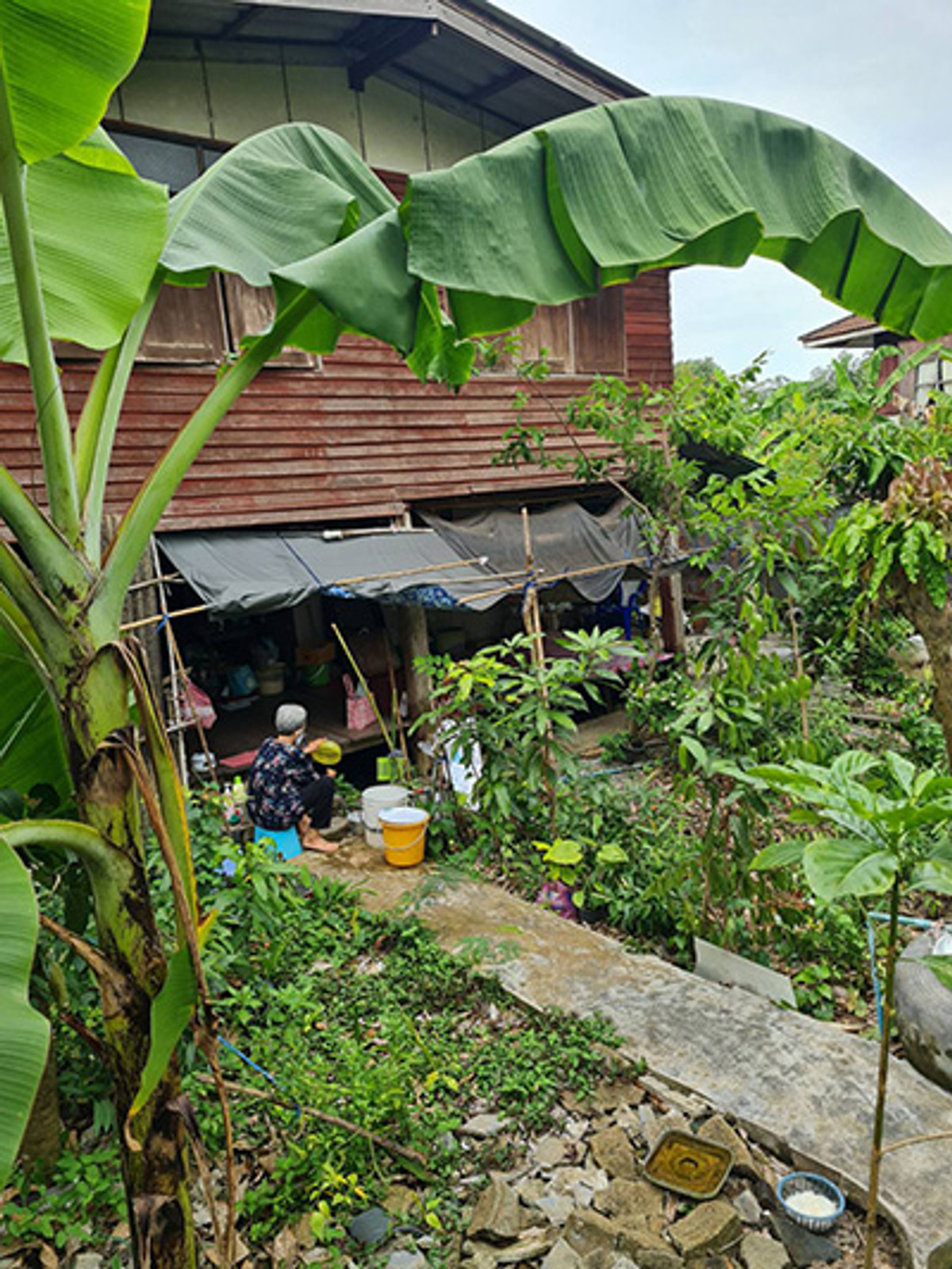 ขาย บ้านไม้ในสวน พื้นที่ 108108 ตรว. ราคา 2,000,000 บาท 2 ห้องนอน - Image 3