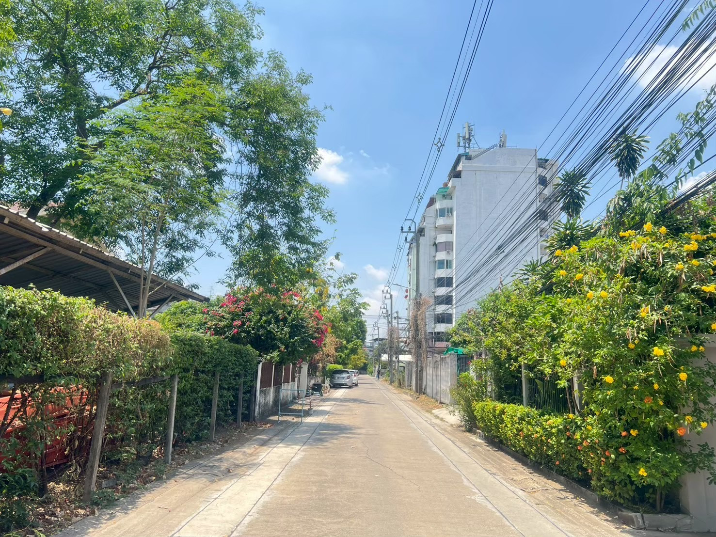 急售:Thararat Condotown 会旺湾25巷 暖武里(会旺湾25巷23岔路)10楼 1卧室 27.37平方米 - Image 3