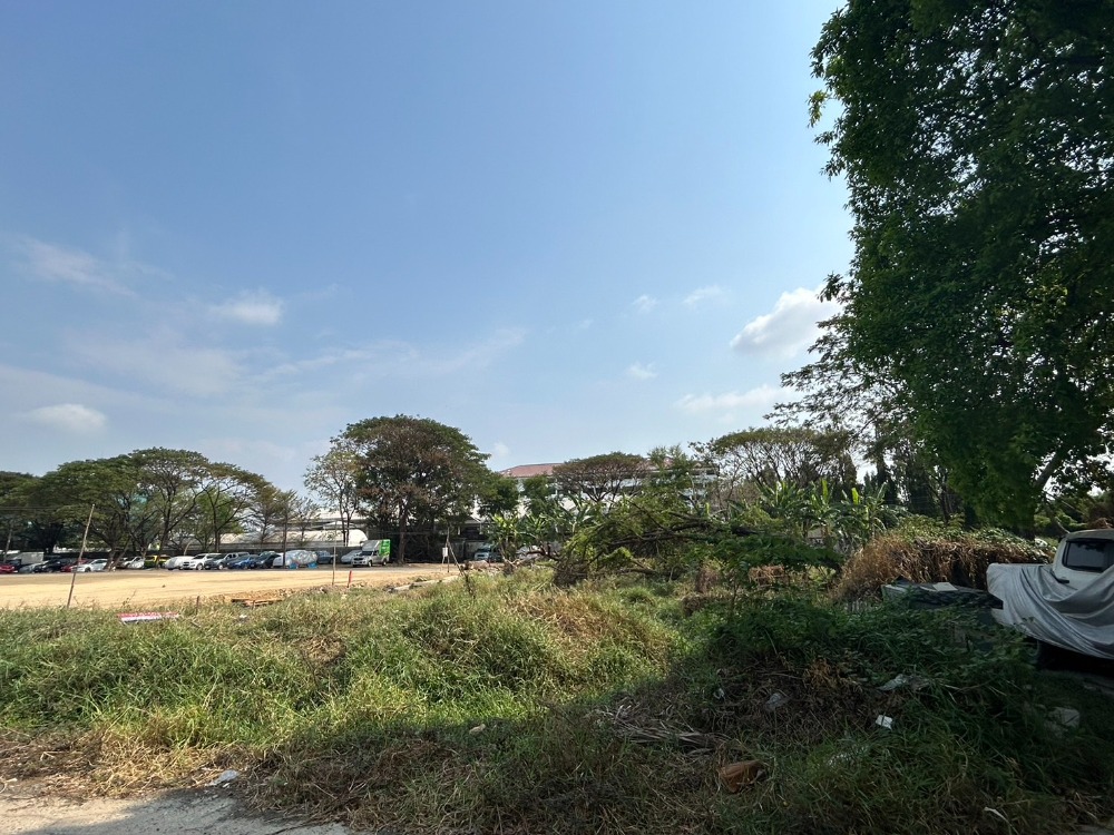 ขาย ที่ดิน 332 ตร.ว. ประเวศ อ่อนนุช55/1 ใกล้รถไฟฟ้าสายสีเหลือง - Image 4