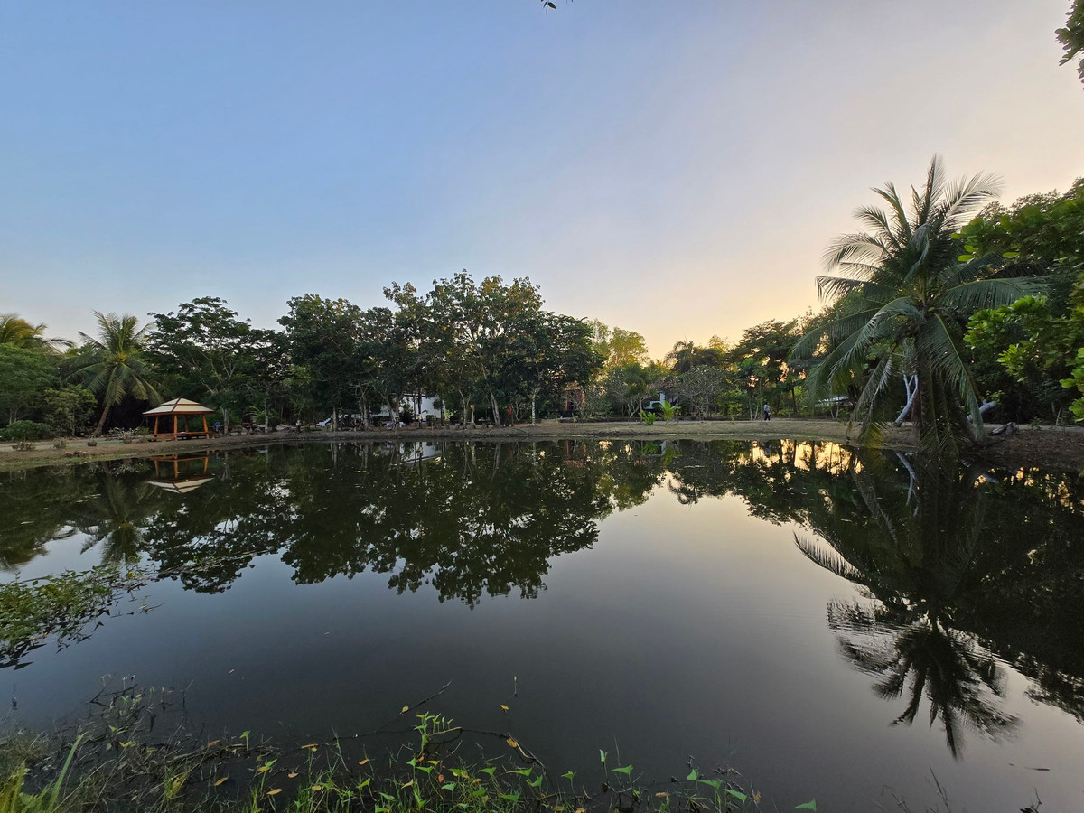 House with land for sale on a private island in Amphawa, over 6 rai - Image 4