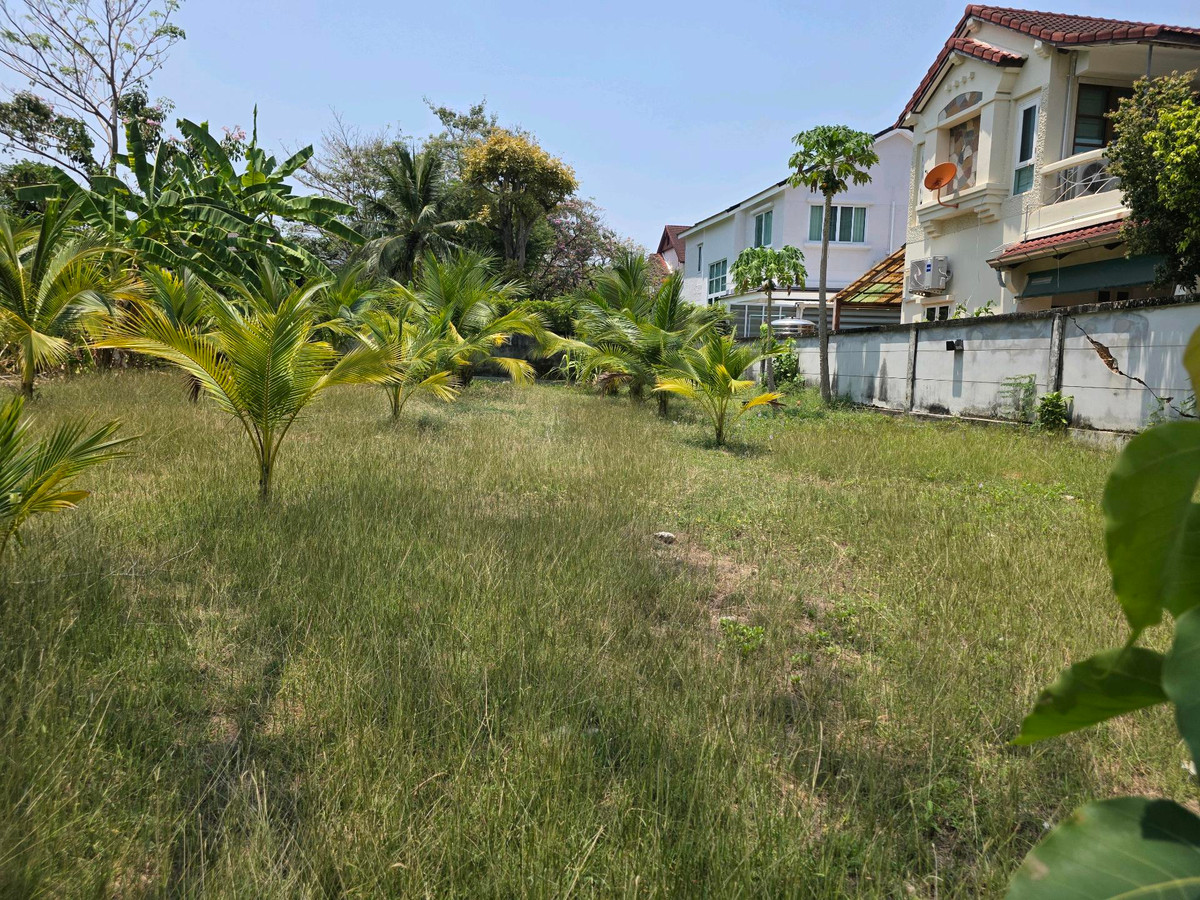 ขาย บ้านเดี่ยวติดสถานี BTS ศรีแบริ่ง (รถไฟสายสีเหลือง ลาดพร้าว สำโรง) ม.ลดาวัลย์ 4 ห้องนอน (PAH-00677) - Image 4