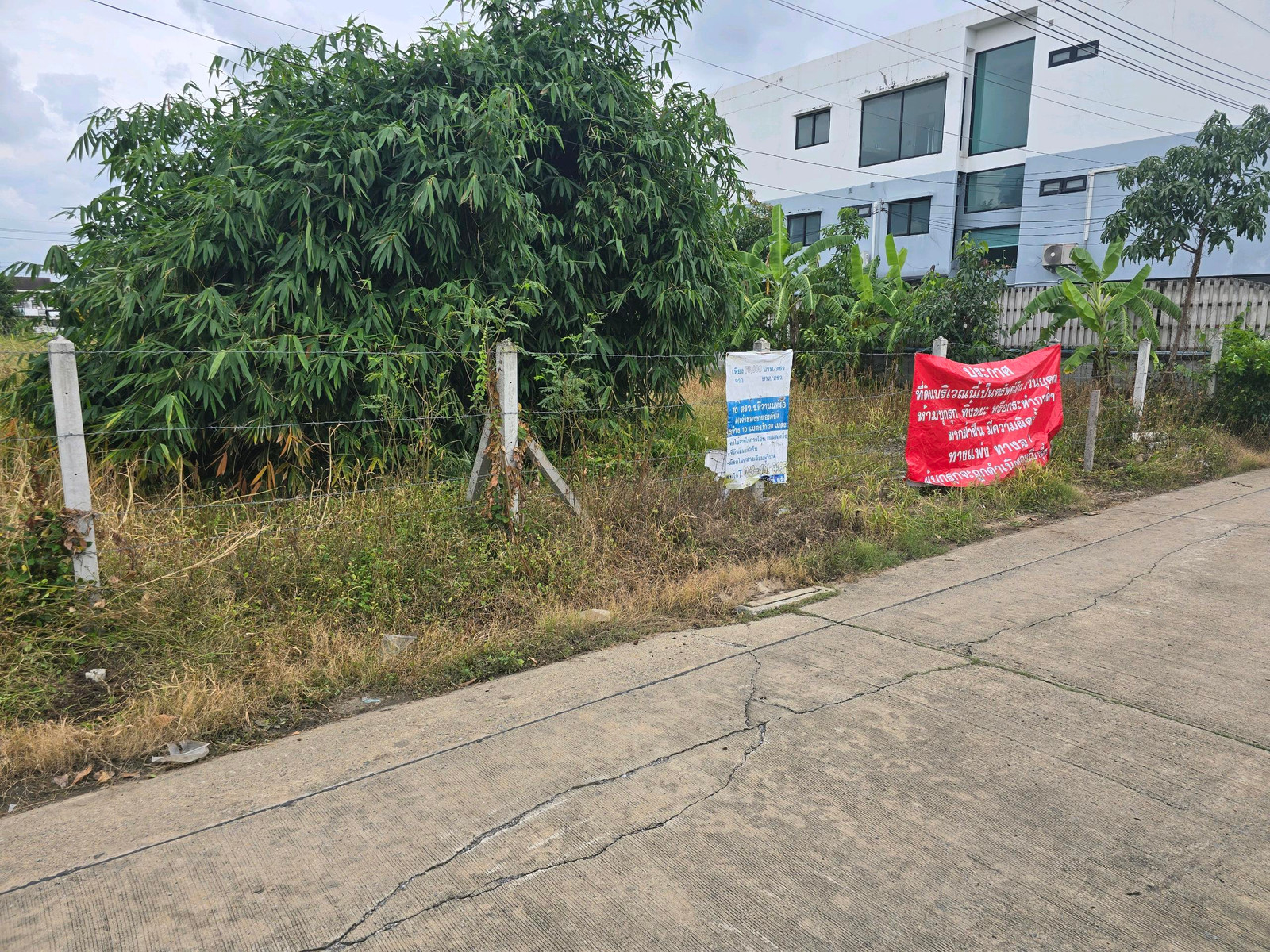 出售粉红线轻轨沿线地段土地 - Image 4