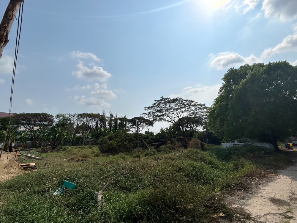 ขาย ที่ดิน 332 ตร.ว. ประเวศ อ่อนนุช55/1 ใกล้รถไฟฟ้าสายสีเหลือง - Image 5