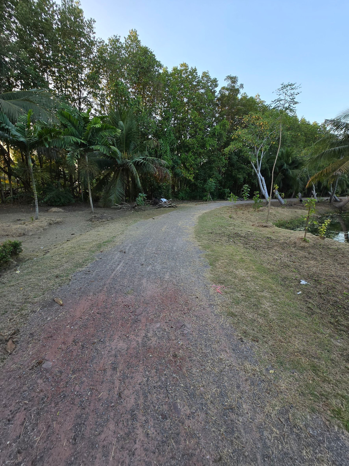 House with land for sale on a private island in Amphawa, over 6 rai - Image 5
