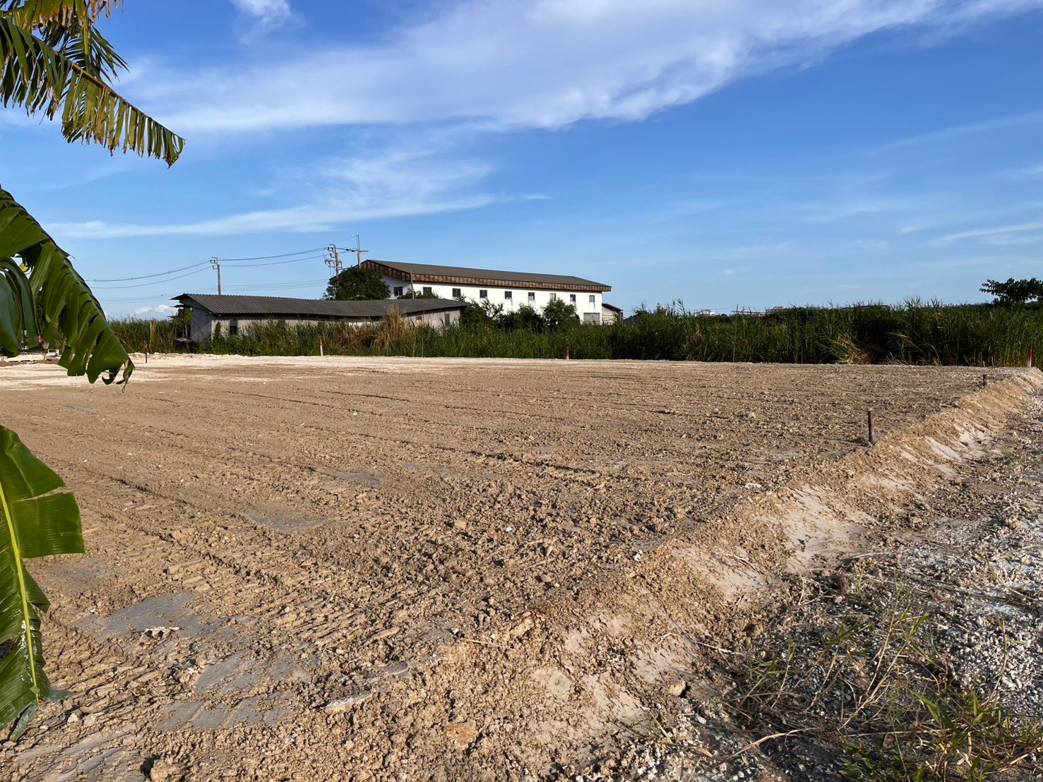 出租土地 可建房屋、办公室、仓库 交通便利 临街面宽阔 - Image 5