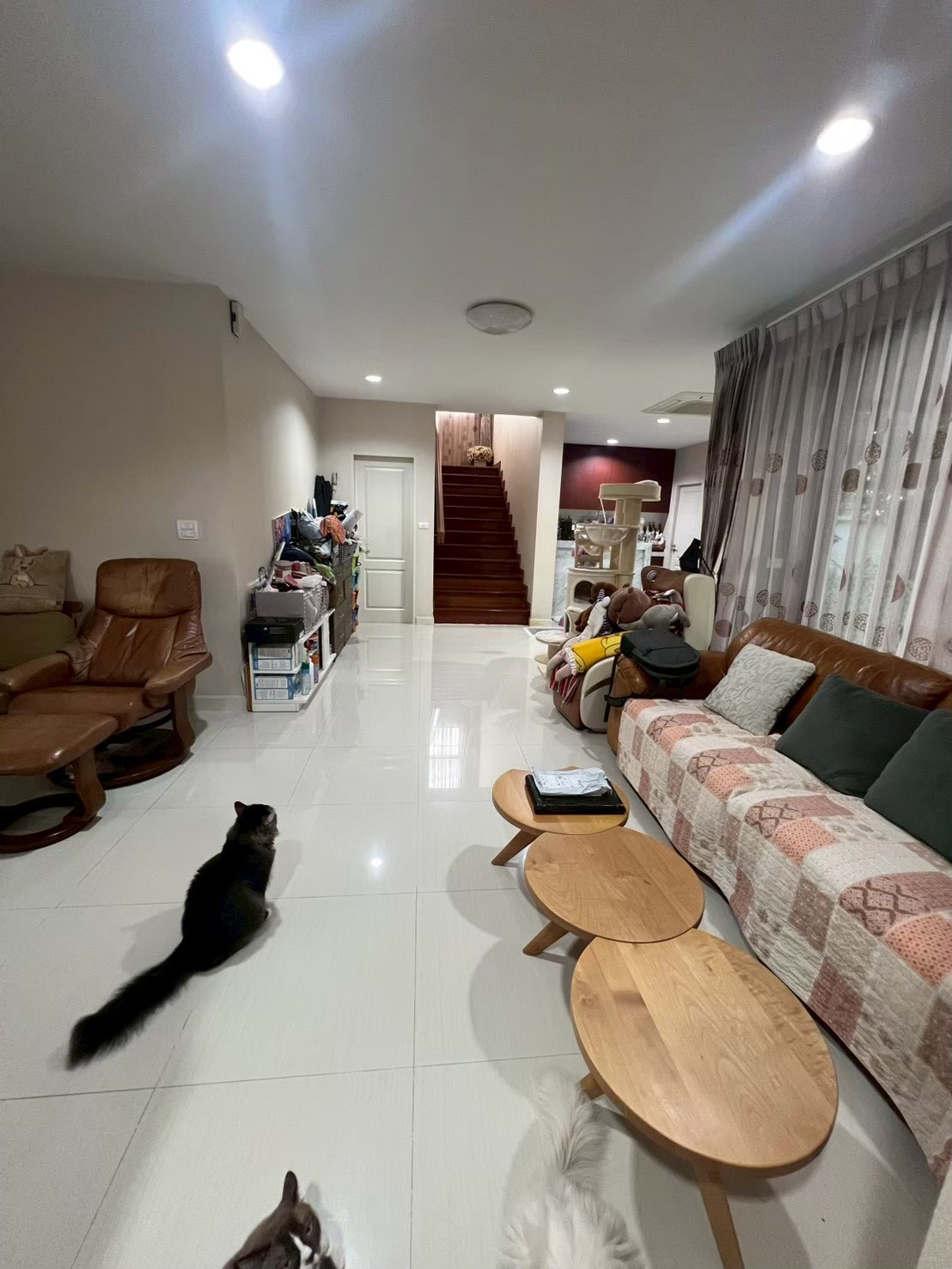 For Rent or Sale / For Rent: Detached House, Blue Lagoon 2 Bangna-Wongwaen, 390 sqm, 87 sq.wah, 4 Bedrooms, at Project Entrance - Image 5