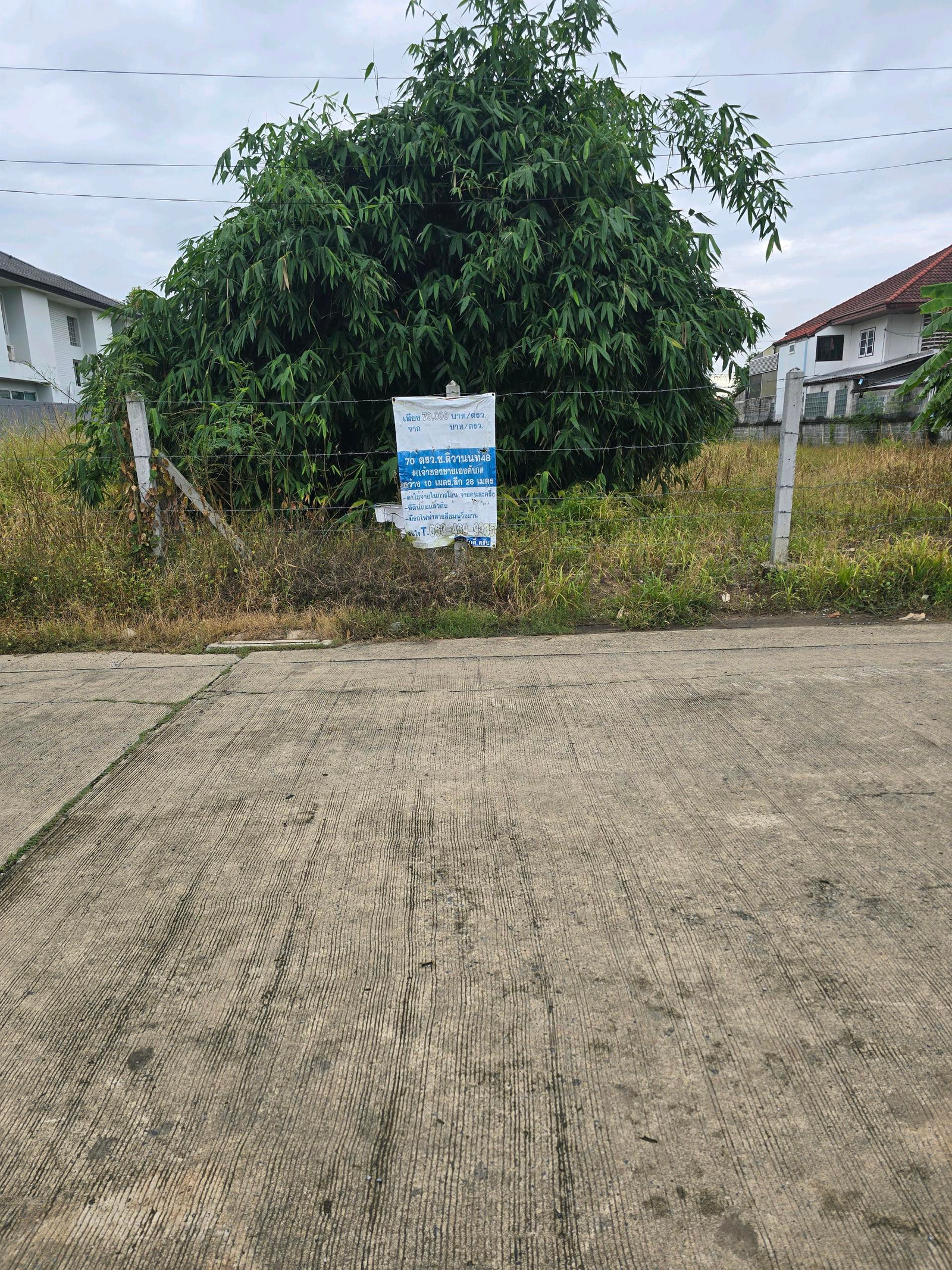 出售粉红线轻轨沿线地段土地 - Image 5