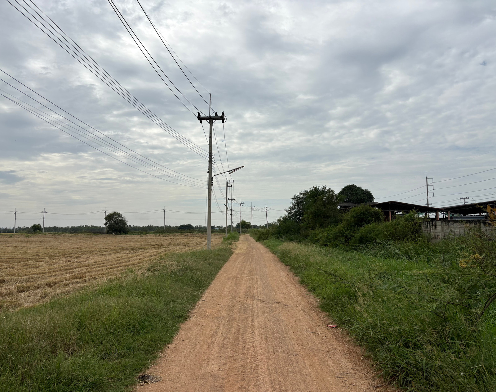 ขาย ที่ดิน 16-2-43.1 ไร่ บางไทร-อยุธยา ใกล้ถนน 3111 ทำเลรองรับ Warehouse/Logistics - Image 5