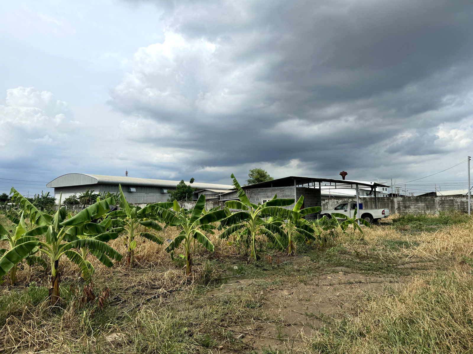 ขาย ด่วน ที่ดิน 3 ไร่ 2 งาน 64 ตร.วา ถมสูง 10 ปี ซ.บงกช 30 คลองสอง, ปทุมธานี - Image 5