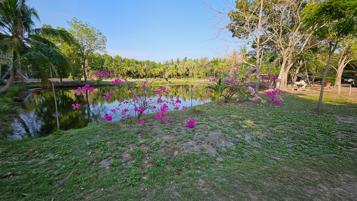 House with land for sale on a private island in Amphawa, over 6 rai - Image 6