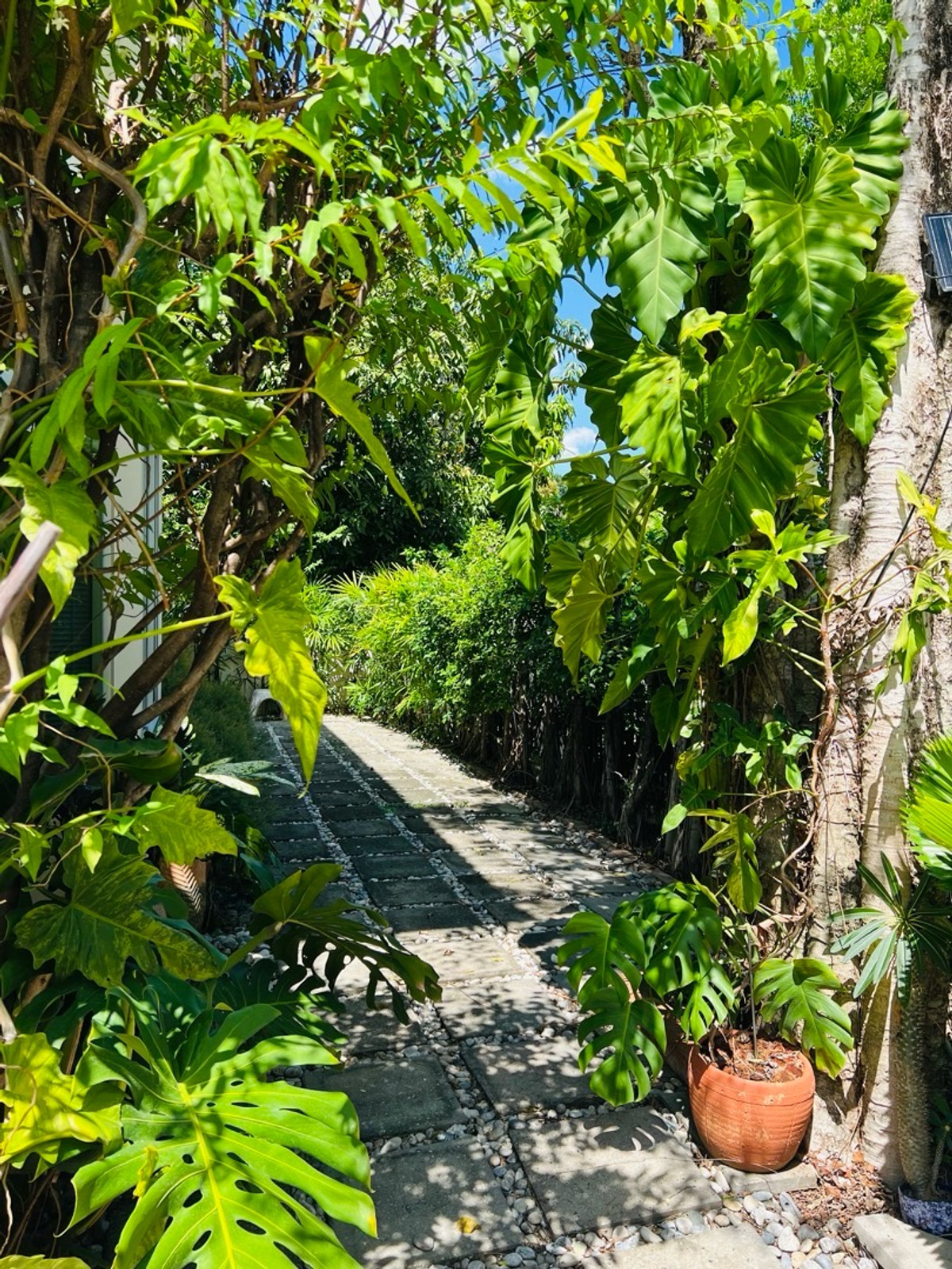 ให้เช่าบ้านเดี่ยว บ้านเช่า นนทบุรี ใกล้เซ็นทรัลเวสเกต เข้าออกได้หลายทาง หาของกินง่าย 3 ห้องนอน 160 ตร.ม. - Image 6