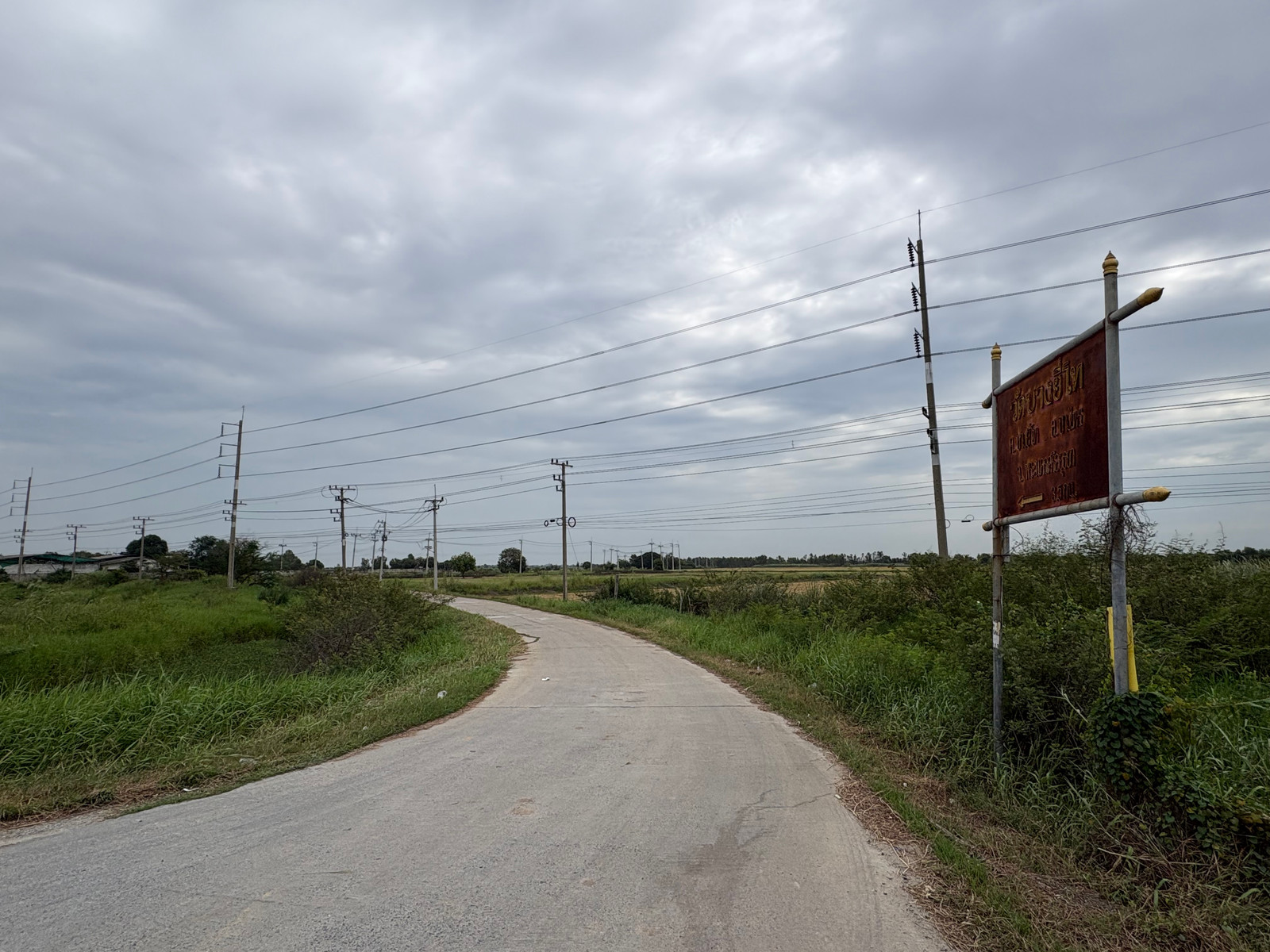 ขาย ที่ดิน 16-2-43.1 ไร่ บางไทร-อยุธยา ใกล้ถนน 3111 ทำเลรองรับ Warehouse/Logistics - Image 6