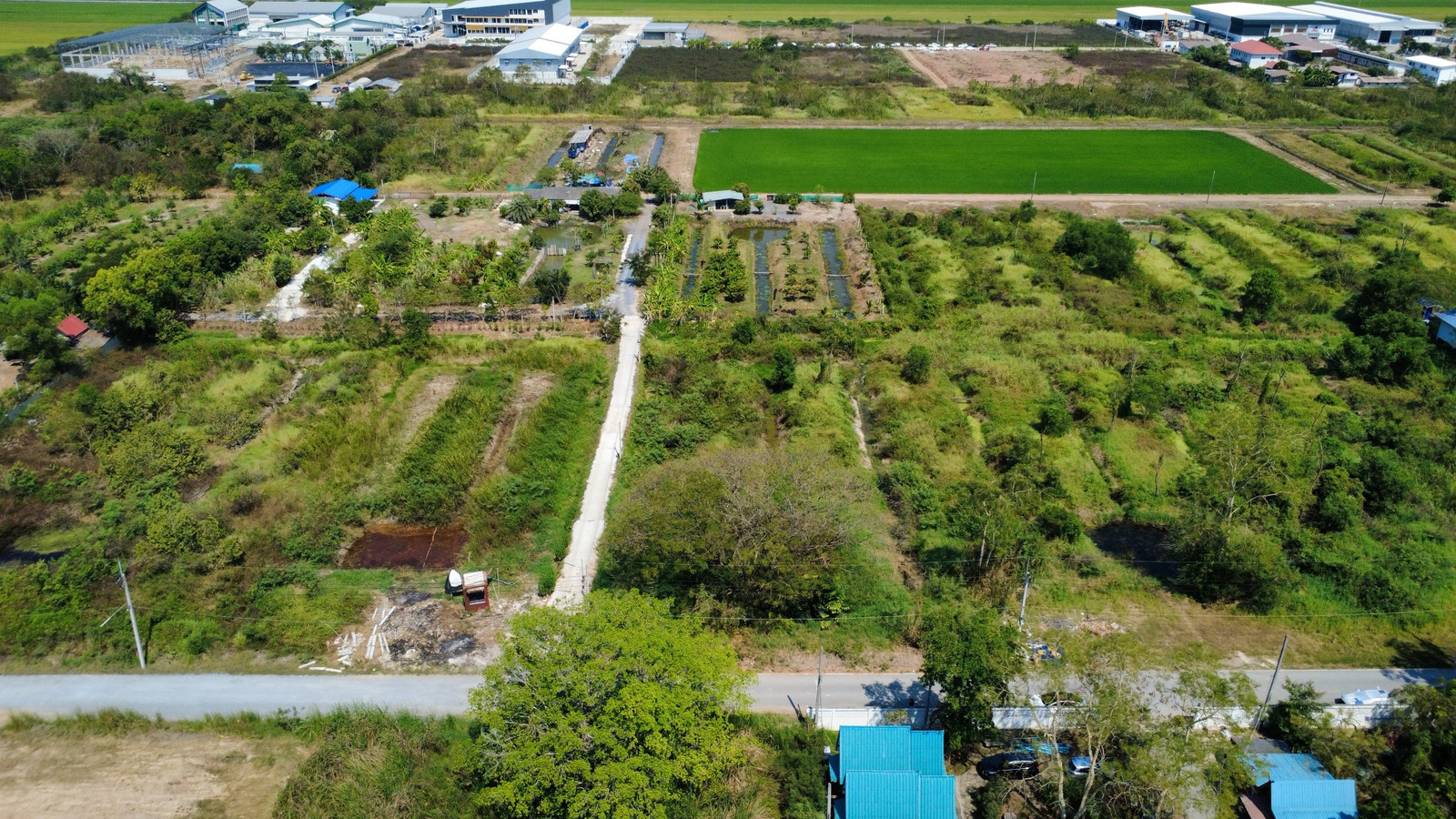 ขาย ด่วน ที่ดินสวย 2 ไร่ ติด วัดป่าเจริญราช ลำลูกกา (PAH-01107) - Image 6