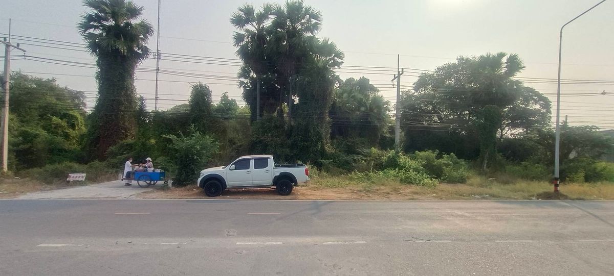 ให้เช่าหรือขาย / ให้เช่าที่ดินทำเลทอง ติดถนนสายเอเซีย ขาเข้า กทม ใกล้กับโครงการนิคมอุตสาหกรรม เอส - Image 7