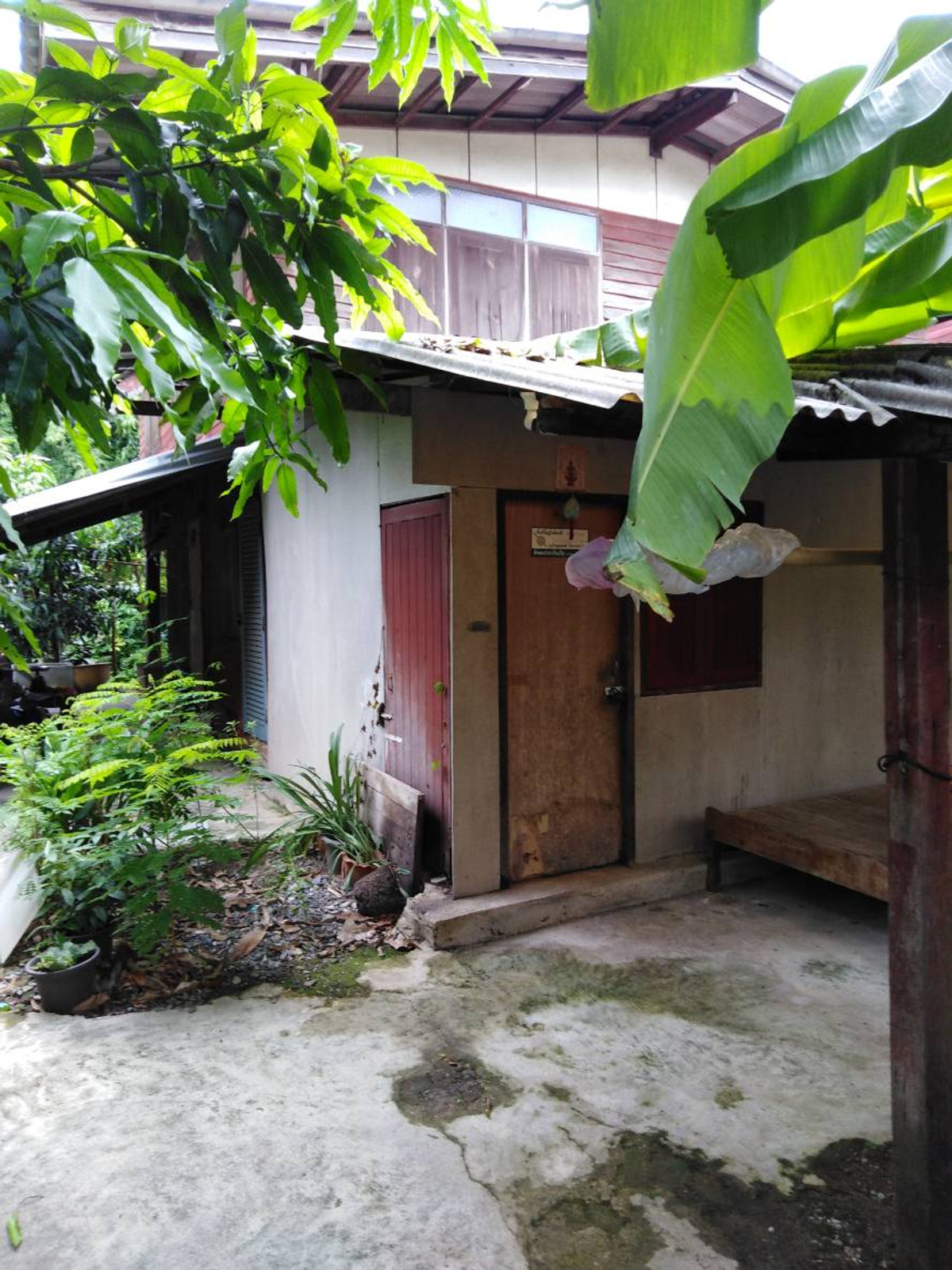 ขาย บ้านไม้ในสวน พื้นที่ 108108 ตรว. ราคา 2,000,000 บาท 2 ห้องนอน - Image 7