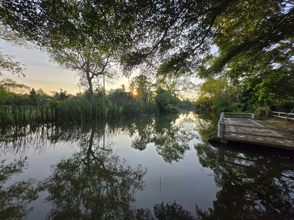 House with land for sale on a private island in Amphawa, over 6 rai - Image 7