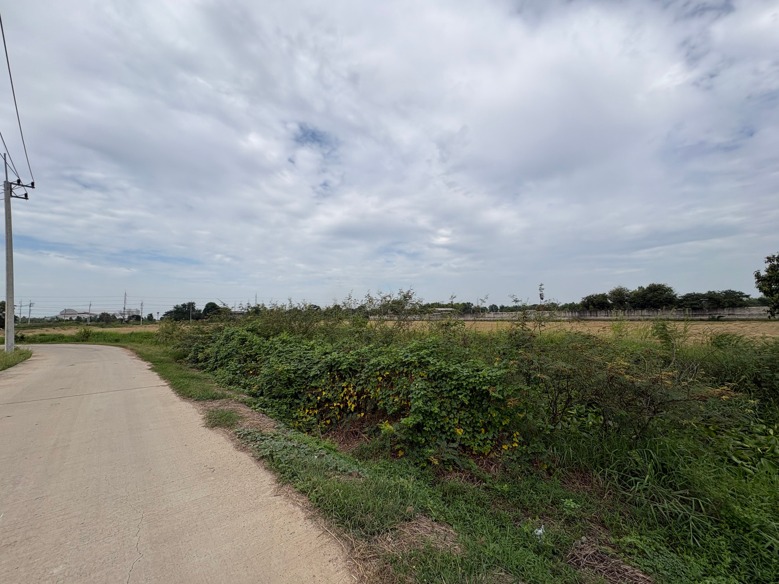 ขาย ที่ดิน 16-2-43.1 ไร่ บางไทร-อยุธยา ใกล้ถนน 3111 ทำเลรองรับ Warehouse/Logistics - Image 8