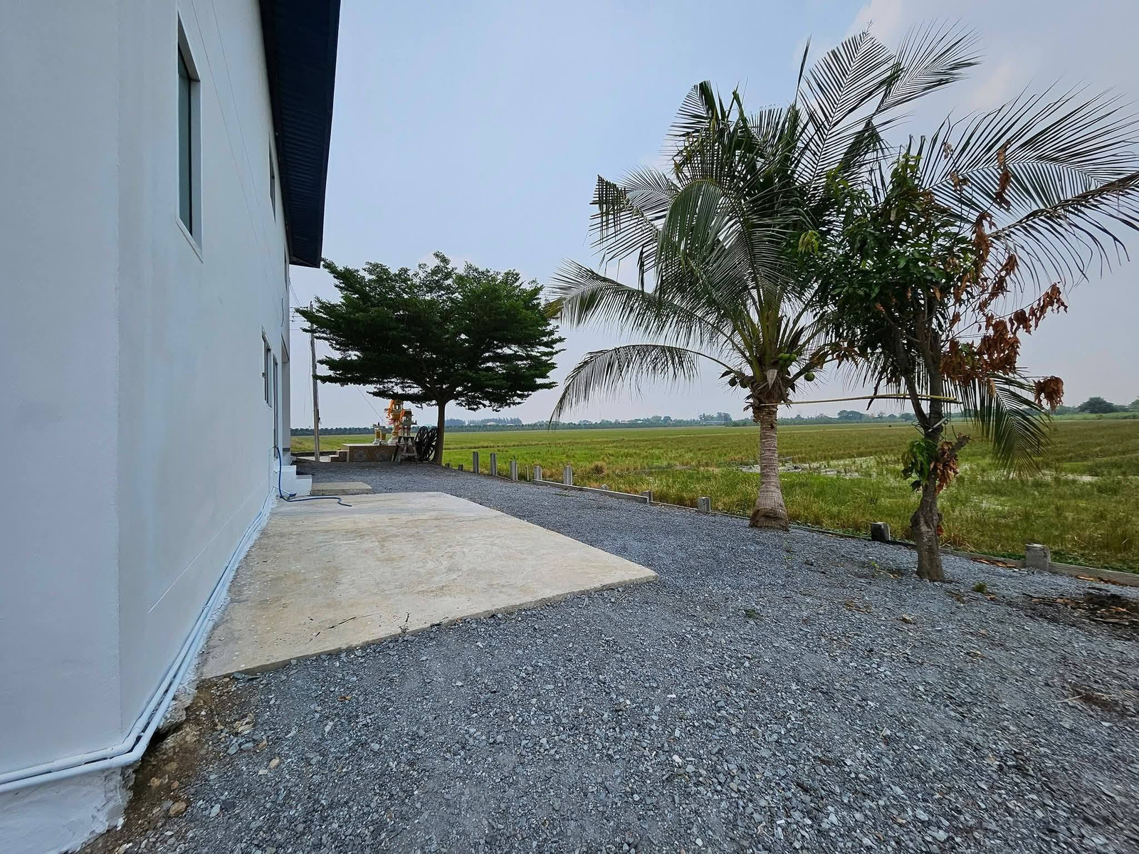 ให้เช่า BT Factory House ลาดหลุมแก้ว - รีโนเวทใหม่ 400 ตร.ม. - Image 8