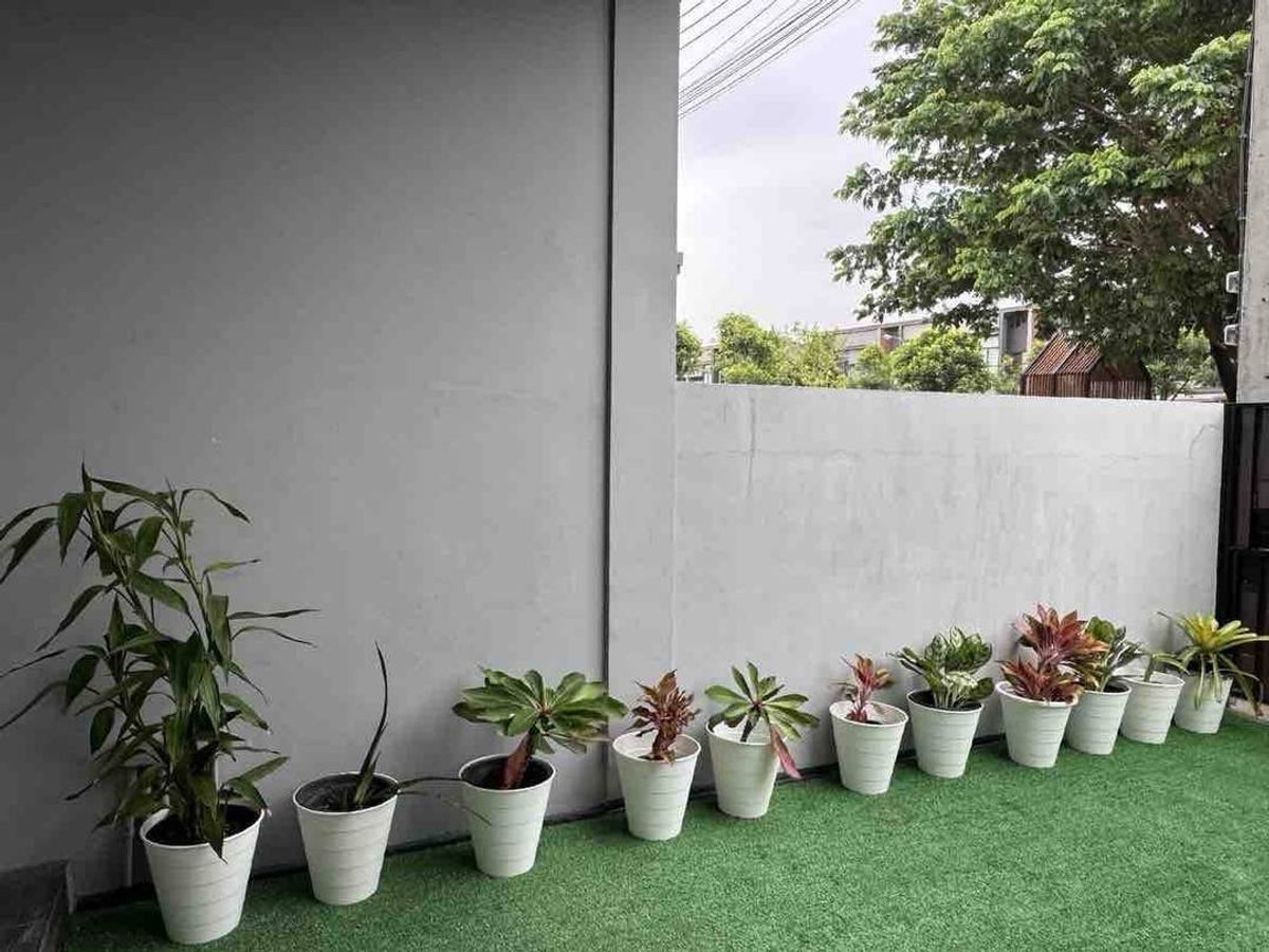 ให้เช่าหรือขายทาวน์เฮาส์ 35,000 บาท ขาย 5.9 ลบ. 3 ห้องนอน 143 ตร.ม. - Image 9