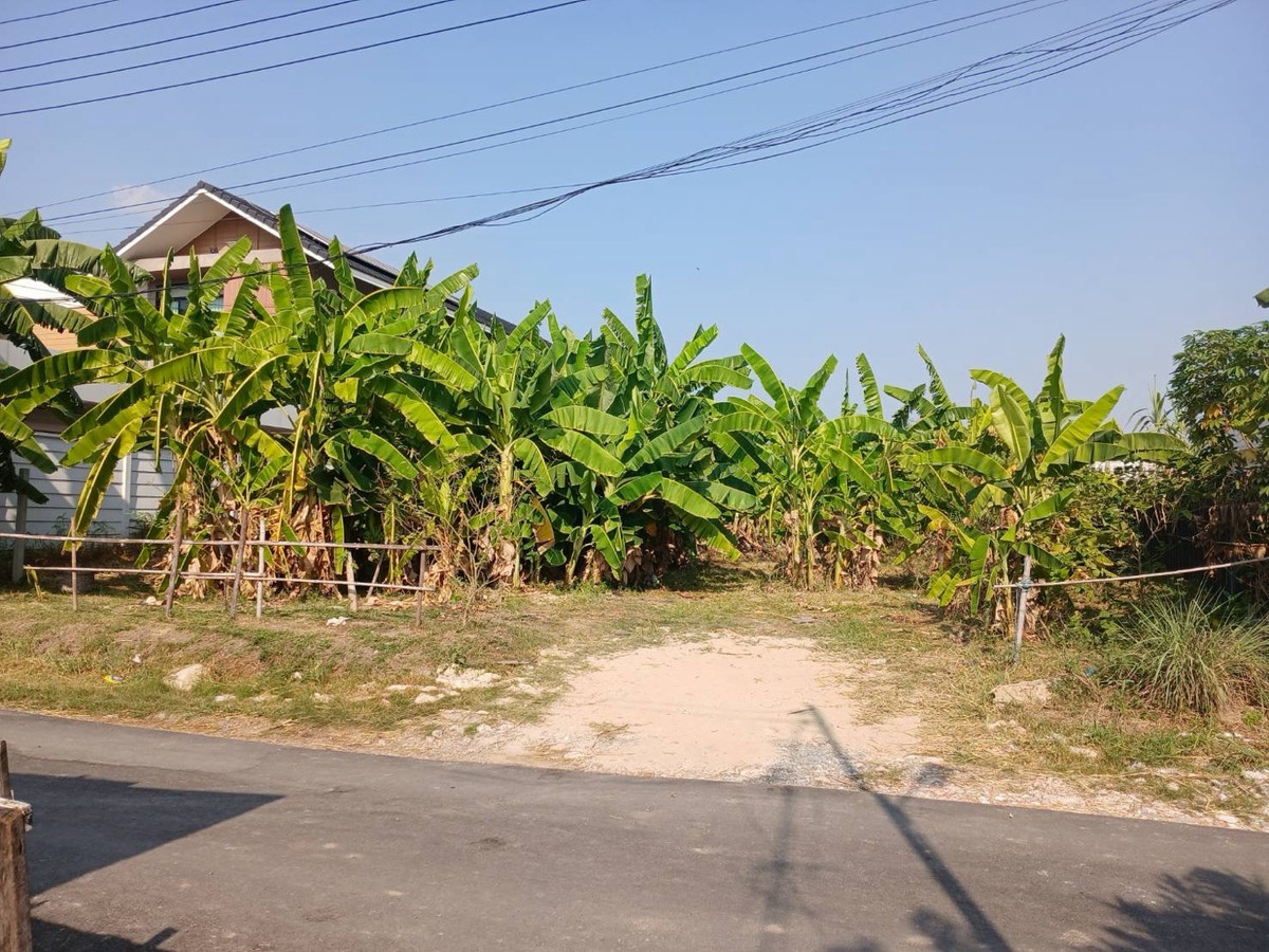 出售帕他纳坎96巷土地，稀有优质地块，黄金地段！ - Image 9