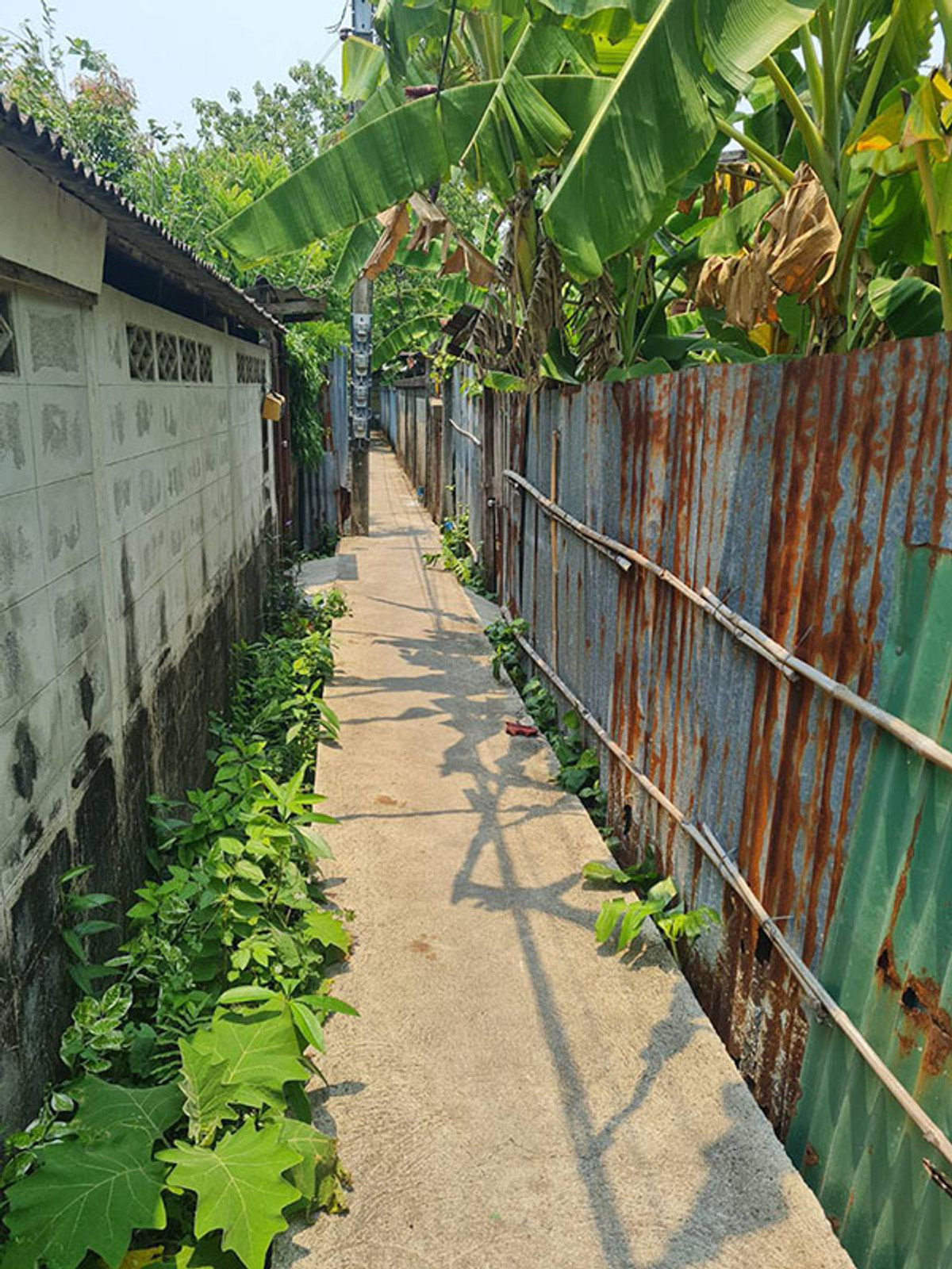 ขาย บ้านไม้ในสวน พื้นที่ 108108 ตรว. ราคา 2,000,000 บาท 2 ห้องนอน - Image 10