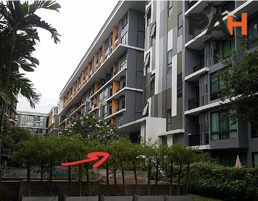 ห้องชุด ไอคอนโด สุขุมวิท 103 [ชั้น 7 อาคาร D] - Image 3