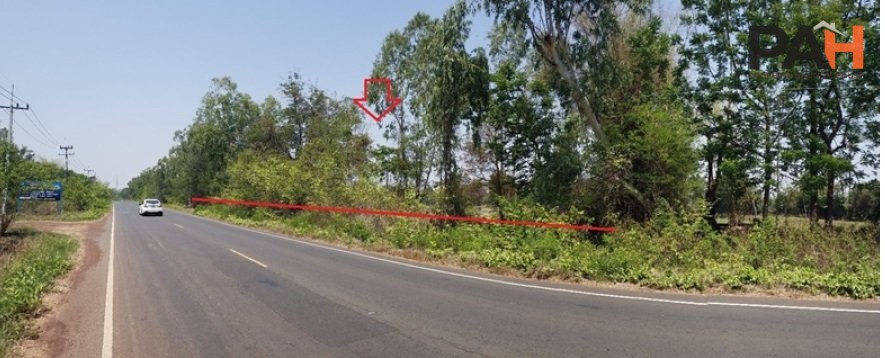 ที่ดินว่างเปล่า จตุรพักตรพิมาน-ร้อยเอ็ด - Image 3