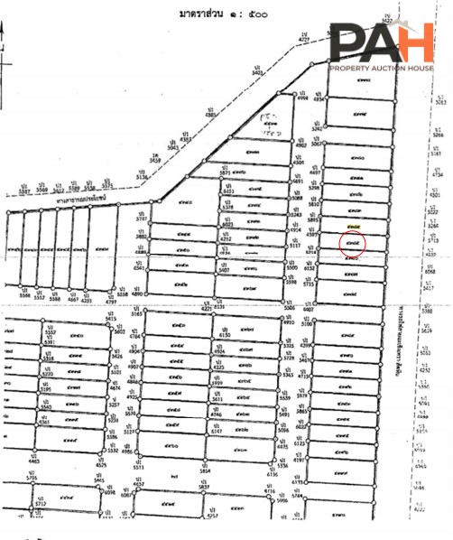 ทาวน์เฮ้าส์ โครงการ ทรัพย์รุ่งเรือง ซิตี้ 2 (อมตะ-พานทอง) ชลบุรี - Image 9