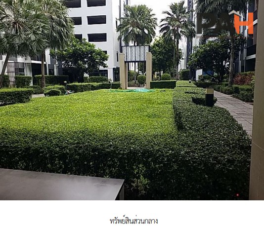 曼谷 iCondo Sukhumvit 105-2 公寓项目单元 - Image 6