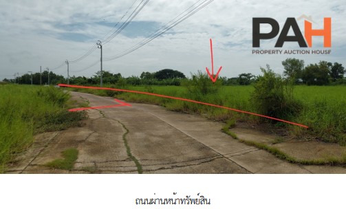 空地，Romanee Lakeland 项目，曼谷 - Image 5