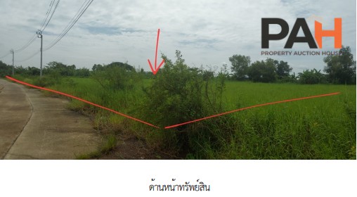 空地，Romanee Lakeland 项目，曼谷 - Image 4