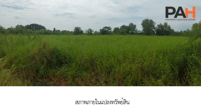 空地，Romanee Lakeland 项目，曼谷 - Image 3