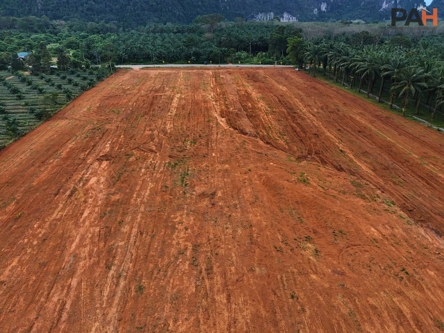 ที่ดินวิวเขา เขาทอง กระบี่ แปลงสวย 100 ตร.ว. (400 ตร.ม.) - Image 7