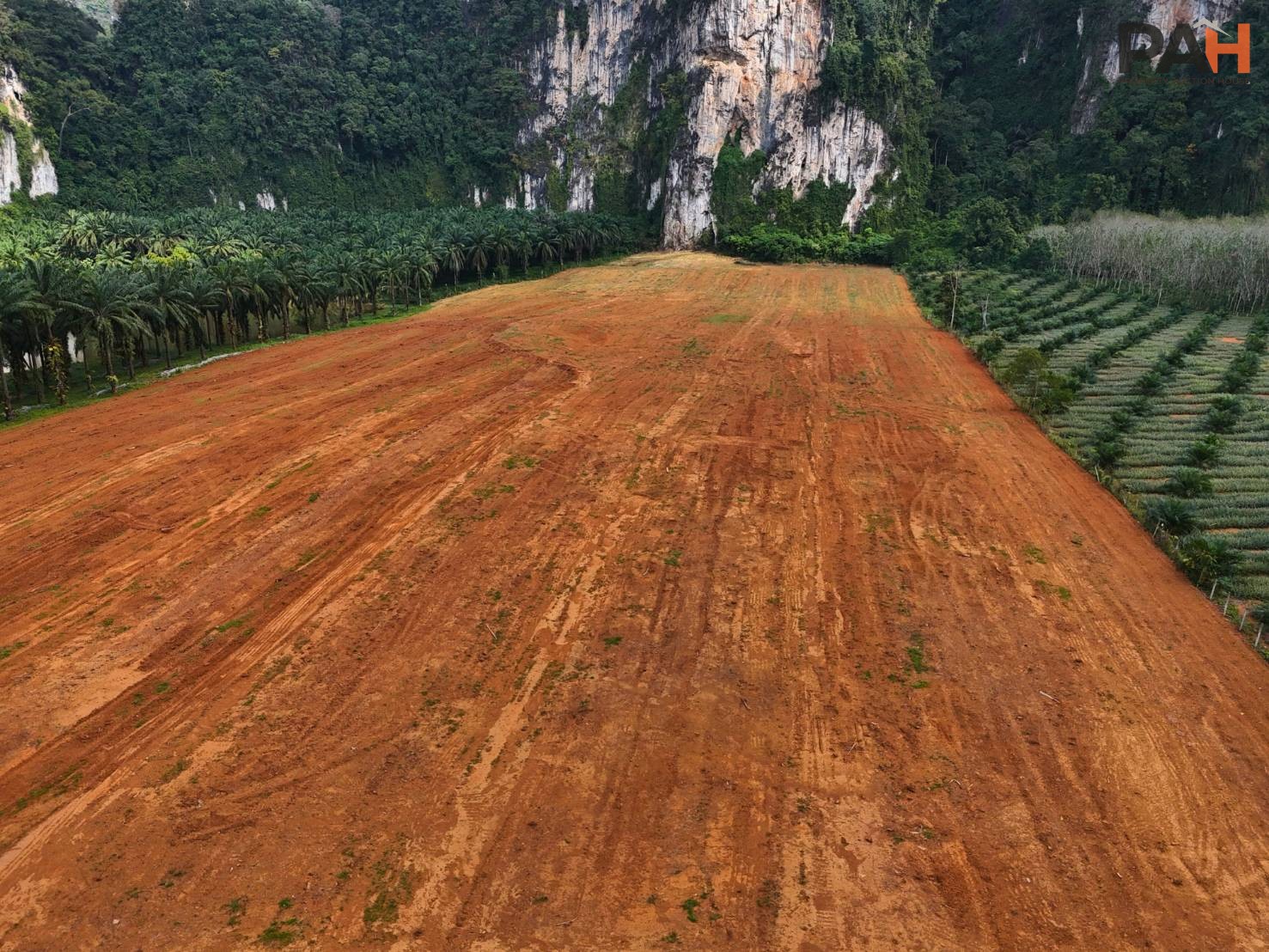 ที่ดินวิวเขา เขาทอง กระบี่ แปลงสวย 100 ตร.ว. (400 ตร.ม.) - Image 5