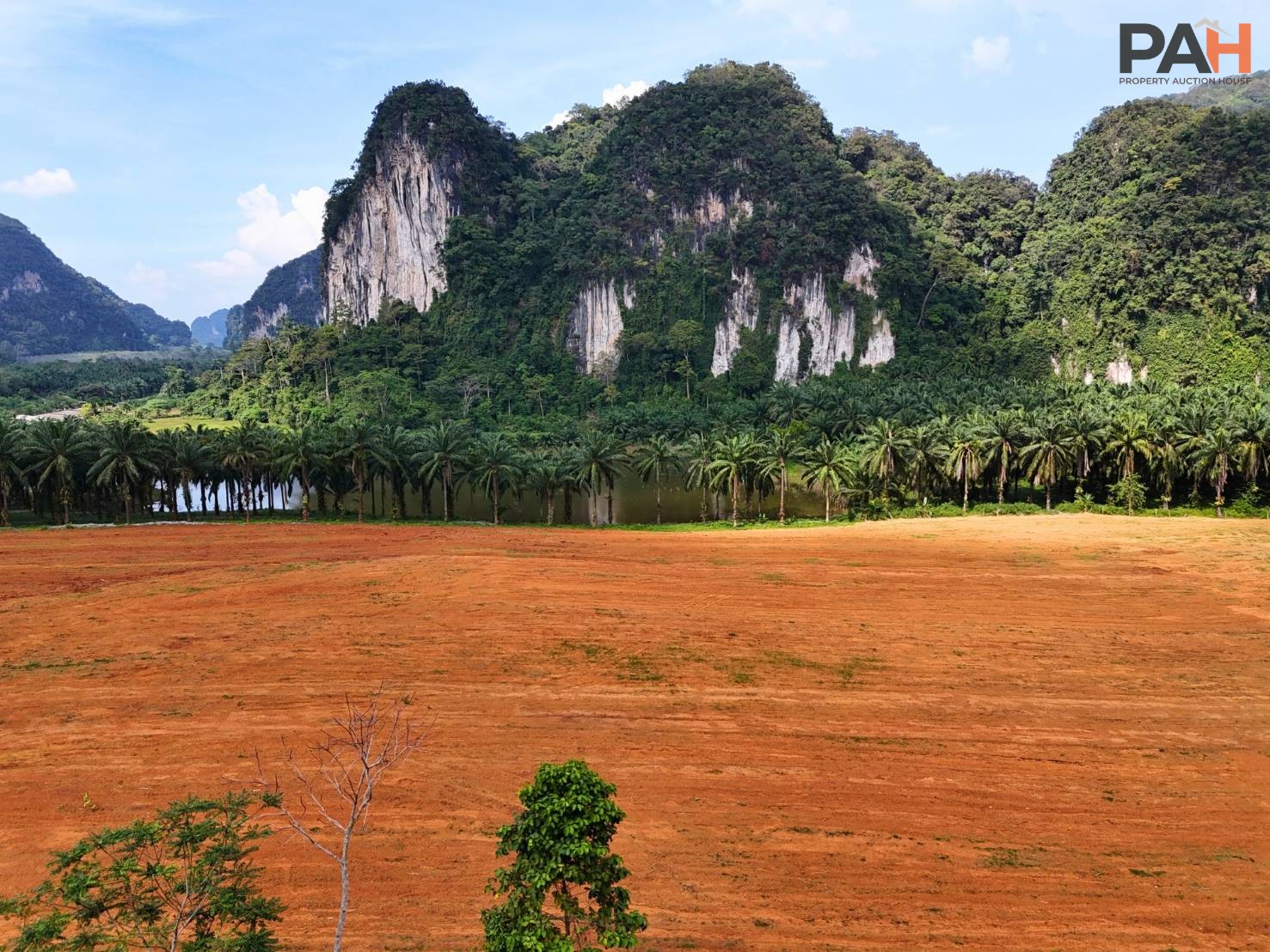 ที่ดินวิวเขา เขาทอง กระบี่ แปลงสวย 100 ตร.ว. (400 ตร.ม.) - Image 3