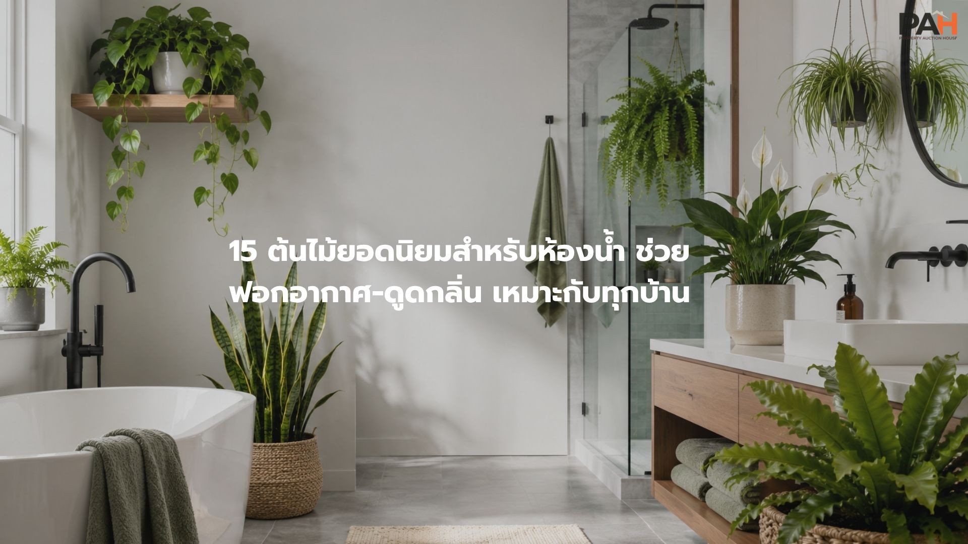 15 ต้นไม้ยอดนิยมสำหรับห้องน้ำ ช่วยฟอกอากาศ-ดูดกลิ่น เหมาะกับทุกบ้าน